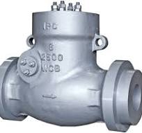 Pressure seal swing check valves - IPC Valves
