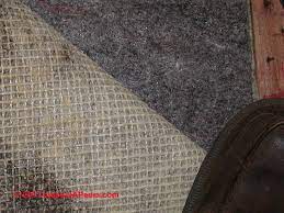 Check spelling or type a new query. Carpet Padding Guide To Asbestos Mold Odor Problems Solutions