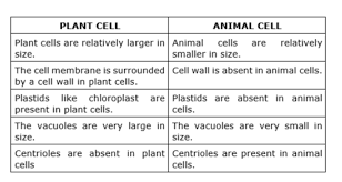 Check spelling or type a new query. Give Differences Between Plant Cell And An Animal Cell