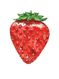 Large Juicy Strawberry Illustration In Watercolor Art Print Etsy In 2020 Strawberry Watercolor Strawberry Art Strawberry Drawing
