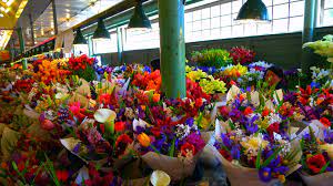 We did not find results for: The Trip Not Meant To Be Wedding Marketing Wedding Flowers Wedding Flowers Wildflowers