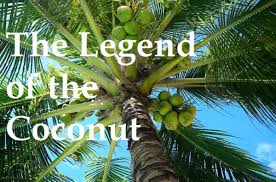 Check spelling or type a new query. The Legend Of The Coconut Tree Hubpages