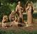Nativity Yard Decorations
