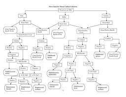 Top Unknown Gram Negative Bacteria Flow Chart Wallpapers Microbiology Microbiology Study Flow Chart