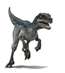 1 evolution 2 performance 2.1 pros 2.2 cons 3 strategy/usage 3.1 true form 4 cat. Selva De La Isla Nublar Jurassic World Campamento Cretacico In 2021 Blue Jurassic World Jurassic World Camp Cretaceous