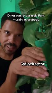 Welcome... to Jurassic Cap 🧢