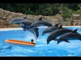 biodiversity l 1 em beautiful vacation spots theme park boat wallpaper