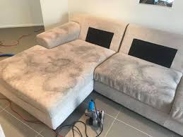 How To Get Cat Pee Smell Out Of Couch