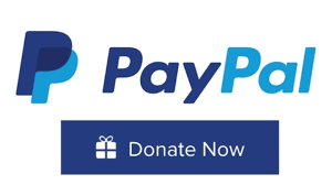 How to Create a PayPal Donate Button for Your WordPress Site?