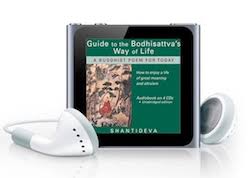 It is an audiobook drm removal which allows you to strip drm off from itunes and audible audiobooks with cd quality. How To Convert Protected M4b And Aa Audiobook To Mp3