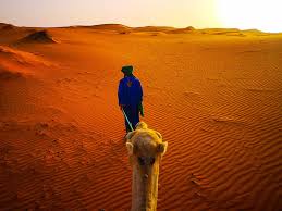 Sunset camel ride in sahara merzouga desert erg chebbi dunes. My Crazy Adventures In The Sahara In Morocco The Globetrotting Detective