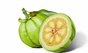 Image result for Garcinia buchneri