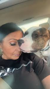 This dog is asthmatic, his former owner abused him, he slept in the rain  and was constantly getting sick. Now I am his new family and I am taking  care of him,he