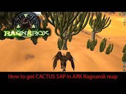 Use a wyvern/crystal wyvern to get the cactus sap with their wing flap thing. Ark Ragnarok How To Get Cactus Sap Old Video Now Map Updated Youtube