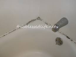 Spray the liquid in the area where cleaning needs to be done and after. This Blessed Life Getting Mold Out Of The Shower Before After