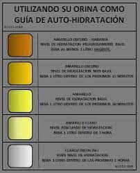 La Orina Como Guia De Autohidratacion Color De La Orina Orina Hidratacion