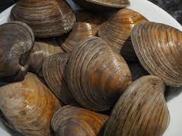 Maybe you would like to learn more about one of these? Bostonsidewalks Technique 9 Things You Need To Know Before Steaming Hard Shell Clams