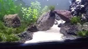 Maybe you would like to learn more about one of these? Air Terjun Pasir Waterfall Sand Aquascape Aquarium Youtube