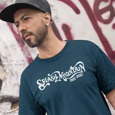 Splash Mountain Shirt, Frontierland T-shirt, Disney World Tee,  Zipadeedoodah, Laughin Place, Vintage, Family Vacation, Mens, Womens,  Unisex