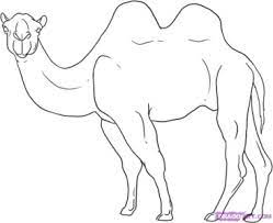 Start by drawing the upper section of the camels head. How To Draw Camels Drawing Tutorials Drawing How To Draw Camels Drawing Lessons Step By Step Techniques For Cartoons Illustrations