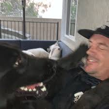 Jim Morse (@jim__morse) • Instagram photos and videos