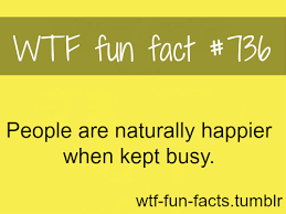 Maybe you would like to learn more about one of these? More Of Wtf Fun Facts Are Coming Here Funny And Wtf Fun Facts Fun Facts Funny Facts