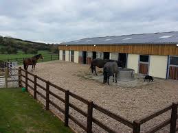 Nice Little Sacrifice Paddock Would Build A Covered Feeder For Hay So That They Would Be Able To Eat Without Wast Horse Farm Layout Horse Paddock Horse Barns