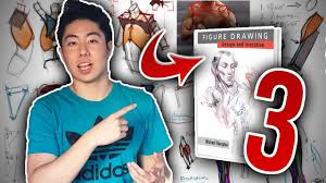 This is one of the best drawing books for beginners, and the amount of difficulty is acceptable for both adults and kids. 3 Best Figure Drawing Books For Anatomy Youtube