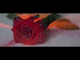 Un alt inger cu chip de om este femeia gemeni. Ayan Si Blondu De La Timisoara Femeie Cu Chip De Inger Oficial Video Cover 2017 Youtube