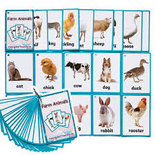 Richardy 18pcs Set Farm Animals Kids Gifts English Flash Cards Pocket Card Educational Learning Baby Toys For Children Pre Kindergarten Buy Online In Bosnia And Herzegovina At Bosnia Desertcart Com Productid 69734316