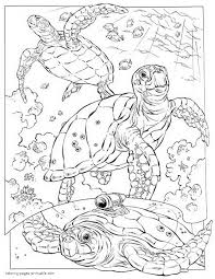Sea and ocean creatures drawn in line art style in black and white colors. Sea Turtle Coloring Pages Ocean Creatures Coloring Pages Printable Com