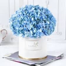 We did not find results for: Online Flower Delivery Send Flowers India Order Flowers 395 Igp Flowers