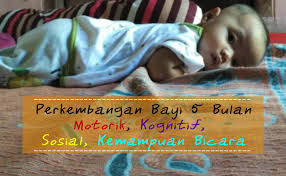 Sehingga, brennan bilang penting bagi orang tua. Perkembangan Bayi 5 Bulan Secara Motorik Kognitif Sosial Dan Kemampuan Bicaranya Kopiah Putih