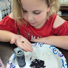 Our summer camps are open for registration! We have Makers Camp,  Eco-Explorers and Animal Science! Head to our website to learn more and  sign up (Link in bio)!