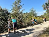 Plant ID Hike
