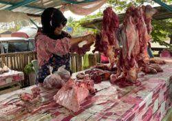 Festival tawar daging lembu sekilo rm24 di kedah. Harga Daging Lembu Naik Hingga Rm4 Sekilogram Utusan Digital