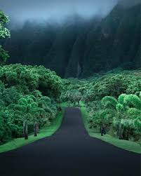 An Empty Road In Hawaii Album On Imgur Scenery Beautiful Places Scenic