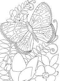 Let your imagination go wild as they flit about, visiting flowers. Butterfly Flower Coloring Pages Butterfly Coloring Page Flower Coloring Pages Coloring Pages