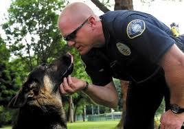 Become A K9 Officer German Shepherd Breeds Military Working Dogs Dog Hero