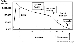 See full list on my.clevelandclinic.org Beating Your Biological Clock How It Works The Infertility Center Of St Louis
