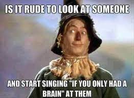 36 funny pictures funny pictures daily lol pics work humor funny quotes funny