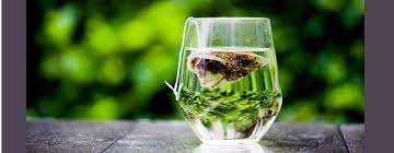 Die 5 größten gesundheitsvorteile von grünem tee verrate ich dir in dem heutigen video. Gruner Tee 4 Grunde Ihn Jeden Tag Zu Trinken