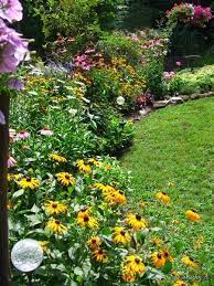Grow cardoons in full sun. Perennial Border Along Boulder Wall Full Sun Perennials Perennial Border Plants Flower Bed Borders
