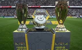 Campeonato paulista 2020, são paulo. Bodog E Parceiro Oficial Do Campeonato Paulista