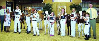 4-H Dairy Breed Winners Named at Maryland State Fair
