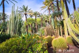 / ɛ l tʃ /, us: Fototapete Kaktus In Den Botanischen Garten Von El Huerto Del Cura In Elche Bei Alicante In Spanien Pixers Wir Leben Um Zu Verandern