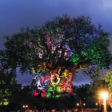 Check out these 10 small trees and learn what will fit best in your yard. Tree Of Life Guide To The Magic