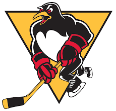 Before then, it was used on the official Wilkes Barre Scranton Penguins Wikipedia