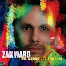 Play This Wonderful Playground by Zak Ward