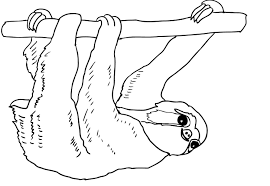 Sloth Coloring Page Free Printable Sloth Coloring Page Sloth Printable In 2020 Coloring Pages Bear Coloring Pages Lion Coloring Pages